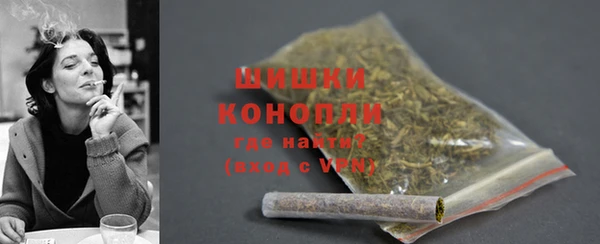 дмт Мегион