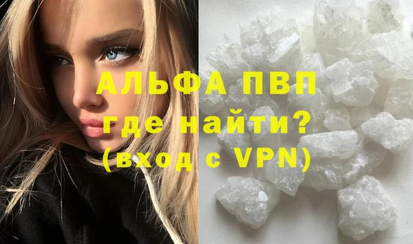дмт Мегион