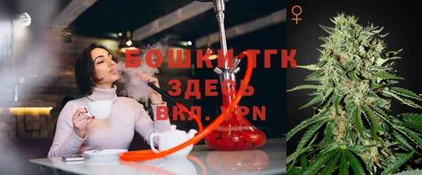 дмт Мегион