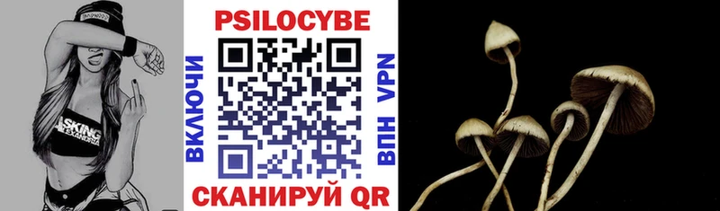 блэк спрут ТОР  Ирбит  Галлюциногенные грибы MAGIC MUSHROOMS 