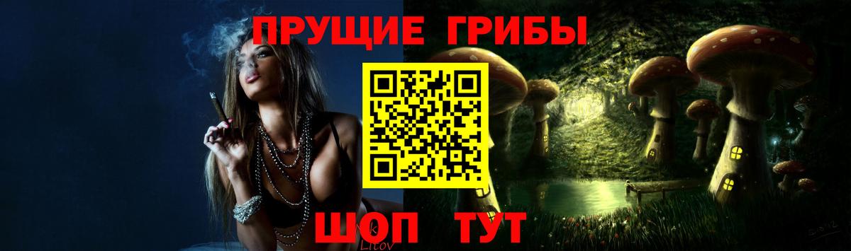 Псилоцибиновые грибы Psilocybe  купить   Ирбит  Псилоцибиновые грибы MAGIC MUSHROOMS 